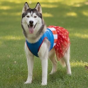 Nwt Marvel DOG XL Captain America Costume Shirt